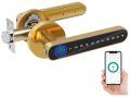 Tuya Smart Home Door Lock Biometric Fingerprint Keyless Entry Keypad App Backup Key Lock App+Fingerprint+Code+Key GOLD. 