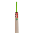 Gray Nicolls Cricket Bat for Hard Ball - Hard Ball Cricket Bat. 