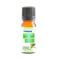 Eucalyptus Oil | Pure Essential Oil | سفیدہ آئل. 