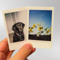 8 Polaroid Photo Print , Minion Polaroid Photos for Home Party Decoration , Custom Polaroid Pictures. 
