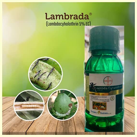 Lambda cyhalothrin 2.75% ec especially for killing insect and bees in plants and room