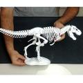 T-REX skeleton  back from extinction dienophile's collection. 