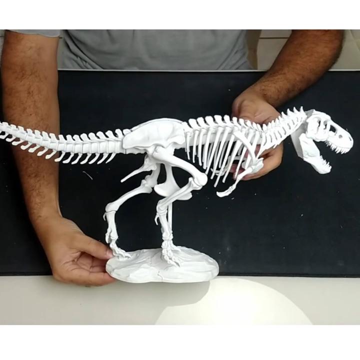 T-REX skeleton  back from extinction dienophile's collection