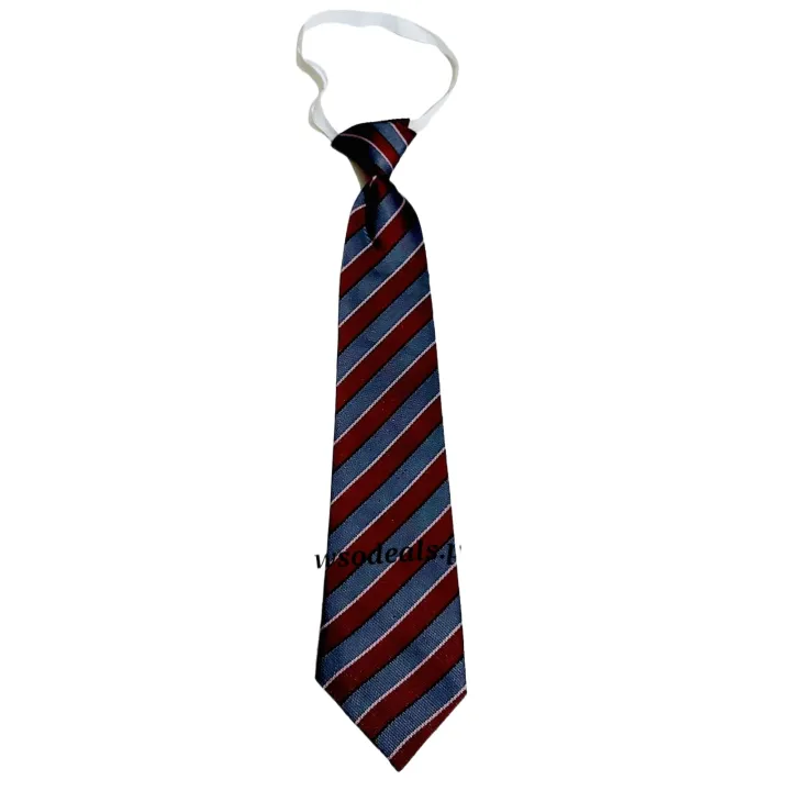 The%20City%20School%20Primary%20Boys%20Uniform%20Elastic%20Tie%20Gray%20&%20Maroon%20Lining%20Uniform%20Tie%20-%20Image%207