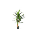 Imported artificial  Dracaena Plant with black Planter. 