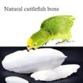 Samandari Jhag (Cuttlefish Bone)   500 Gram ,For Parrots Finches - Pigeons - Lovebirds - Macaw - African Grey - Raw - Parrot - Canary - Finches - Gouldians - Budgies Super Sheikh Trading Co. 