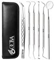 6 piece High Cost-Effective Stainless Teeth Cleaning Kit Oral Cleaning Kit Dental Tools Tooth Filling Repair Set Stainless Steel Dental Tools for Men Women Kids and Pet Care. 