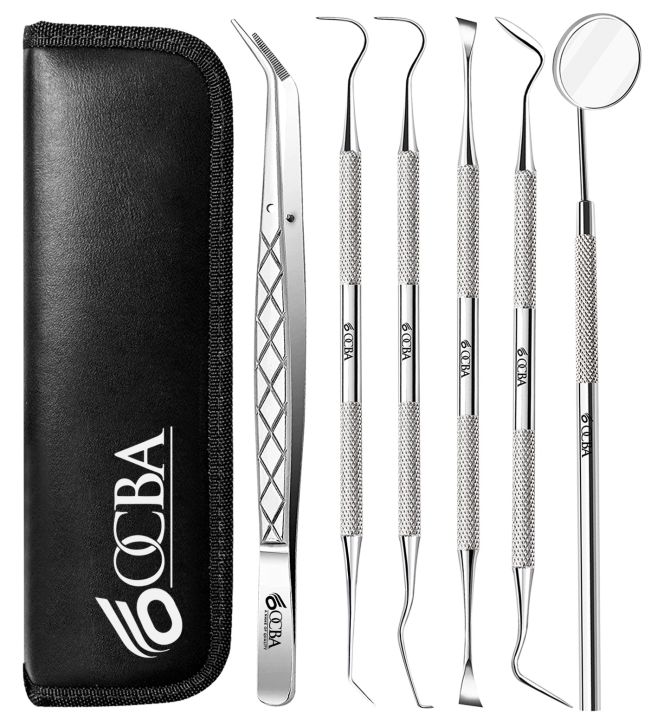 6 piece High Cost-Effective Stainless Teeth Cleaning Kit Oral Cleaning Kit Dental Tools Tooth Filling Repair Set Stainless Steel Dental Tools for Men Women Kids and Pet Care
