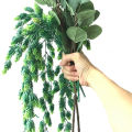 3Pcs   Flower Hops Vine Garland Plant  Hang Vine Greenery For Indoor Outdoor Front Porch Flower Decor. 