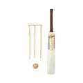 Naqqah Sports Kids Zone Popular Willows Cricket Bat with Wicket Set & 1 Tennis Ball for  Cricket Bat Ball Stumps Set with ABS Wooden Cricket Bat Set  Bat, Ball, Wicket Stand Kit for Children Parent-Child Sports Game Gift for Boys and Girls. 