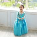 Princess Frozen Costume for Girls Long Sleeve Elsa Costume Kids. 