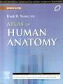 Atlas_of Human Anatomy by Frank H. Netter 7th Edition. 