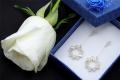 CHARSLAN star, Gold color, Ear Rings, For Women, Code 0133F. 