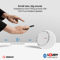 Bluetooth speaker TWS Wireless portable speaker – WPS-01. 