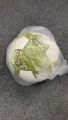 Jako Official Football Soccer Match Ball for Football Training and Practice | MRA Sports. 