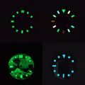 Custom logo dial NH35 dial NH36 dial 28.5mm/29mm no logo watch dial c3 Luminous NH35 NH36 Movement Modified dial nh35 watch case. 