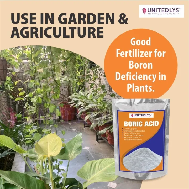 Multi-Purpose%20Boric%20Acid%20Powder%20for%20Cockroaches%20380%20Grams%20-%20Image%204