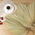 Dried Palm Leaves Room Decor 5 Pieces - 18Inch H x 10Inch W Palm Leaf. 