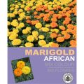 African Marigold Mix Colour Winter Season Flower Seeds. 