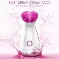 2022 electric facial steamer portable facial steamer nano ionic facial steamer machine gemei zlq-1027. 