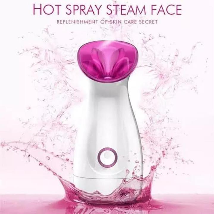 2022 electric facial steamer portable facial steamer nano ionic facial steamer machine gemei zlq-1027