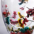 Creative Double Wall Glass Cup Real Flower Conch Flash Filler Glass Cups Hand Gifts High Borosilicate Glass Cups with Handles. 