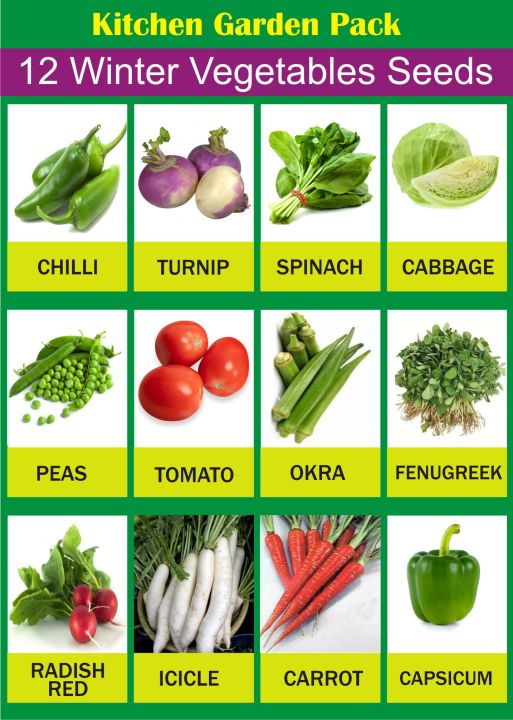 12%20Different%20Winter%20Vegetables%20Kitchen%20Gardening%20Seeds%20Pack%20-%20Image%202