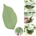 Cute Sticky Notes Paper Leaves Design Stickers Note Sticker Paper Memo Pad Stationery (200 sheets) -  NKS. 