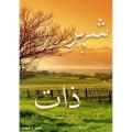 Sheher-e-Zaat by Umera Ahmed. 