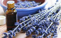 "Lavender Elegance: 100% Pure Therapeutic Grade Essential Oil, Steam Distilled for Unmatched Purity - Vegan and Aromatherapy-Approved for Your Ceramic Diffuser - Pure, Concentrated Bliss in Every Drop (10ml). 