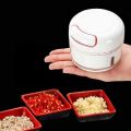 Manual Food Chopper - Mini Hand Pull Food Processor Garlic Press Mincer Vegetable Grinder for Meat Nuts Pepper. 