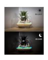 Glow In The Dark Stones Pebbles Aquarium Plants Fairy Mini Garden - Pack of 1. 