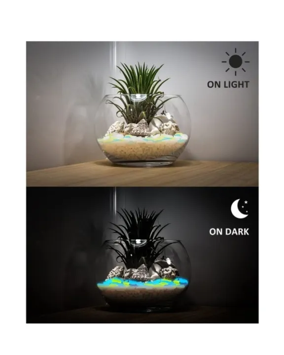 Glow%20In%20The%20Dark%20Stones%20Pebbles%20Aquarium%20Plants%20Fairy%20Mini%20Garden%20-%20Pack%20of%201%20-%20Image%205