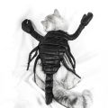 Cat Clothes Vivid Scorpion Shape Funny Halloween Cat Costumes for Dressing Up Pet. 