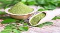 20+ White  Moringa / Sohanjna Tree Plant Flower Seeds - High Germination Rate. 
