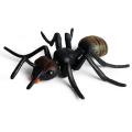 New Realitic Ant Growth Cycle Figurine et Kid imulated Animal Educational Toy. 