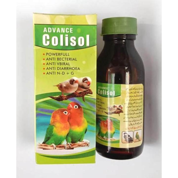 Colisol For Birds Parrots Finches Chicken Parrots