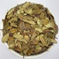 Cowberry Leaf (Vaccinium vitis-idaea L.)  100GM. 