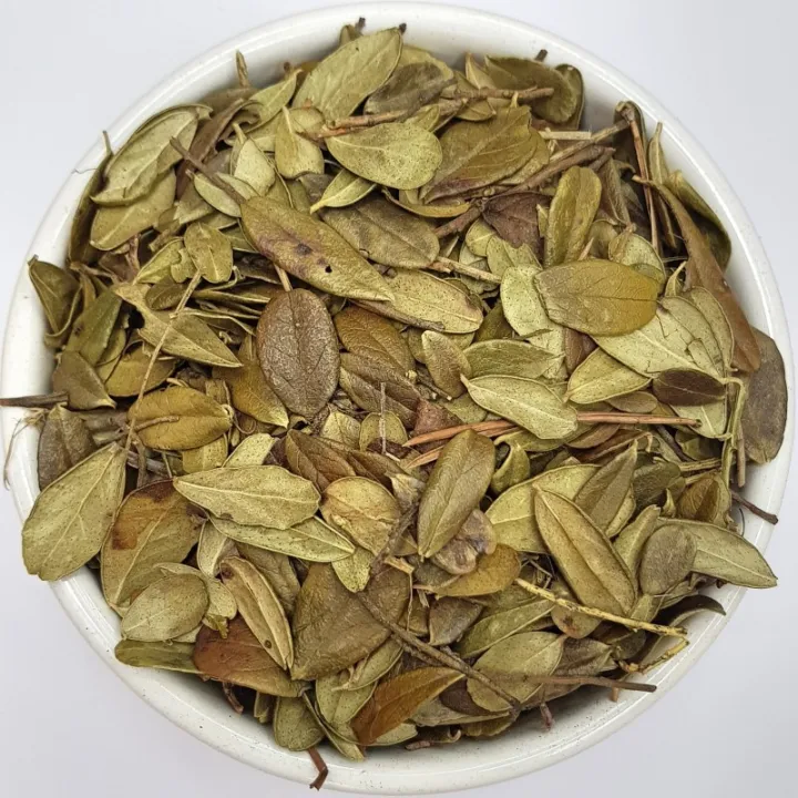 Cowberry%20Leaf%20(Vaccinium%20vitis-idaea%20L.)%20%20100GM%20-%20Image%203