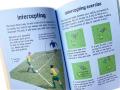 Usborne 50 Football Skills. 