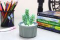 Artificial Plant for Home & Office Décor - Desk Plant, Table Plant, Shelf Plant, Cute Plant, Office Table Plant, Shelf Plant, Kitchen Plant, Study Table Plant, Green Artificial Plant and Flowers for House Decor - Plant for Indoor and Ourtdoor Decor. 