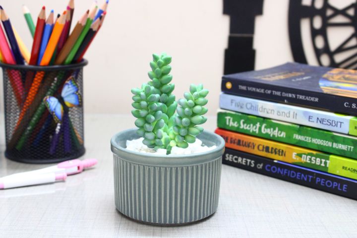 Artificial Plant for Home & Office Décor - Desk Plant, Table Plant, Shelf Plant, Cute Plant, Office Table Plant, Shelf Plant, Kitchen Plant, Study Table Plant, Green Artificial Plant and Flowers for House Decor - Plant for Indoor and Ourtdoor Decor
