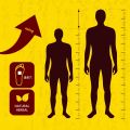 EELHOE height increasing foot patch 12 pcs. 