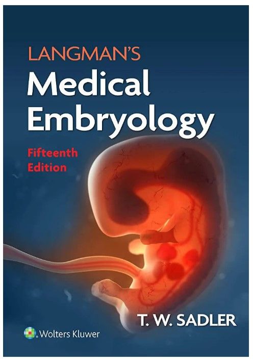 Langman'S Medical Embryology 15th Edition