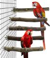 5 pack set of Bird Perches Natural Wood Parrot Perch for Parakeet Cage Accessories Parakeet Toys for Parrots, Parakeets Cockatiels, Conures, Macaws, Love Birds, Finches. 