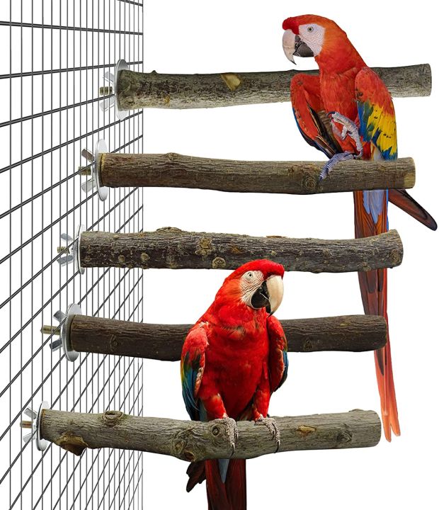5%20pack%20set%20of%20Bird%20Perches%20Natural%20Wood%20Parrot%20Perch%20for%20Parakeet%20Cage%20Accessories%20Parakeet%20Toys%20for%20Parrots,%20Parakeets%20Cockatiels,%20Conures,%20Macaws,%20Love%20Birds,%20Finches%20-%20Image%205