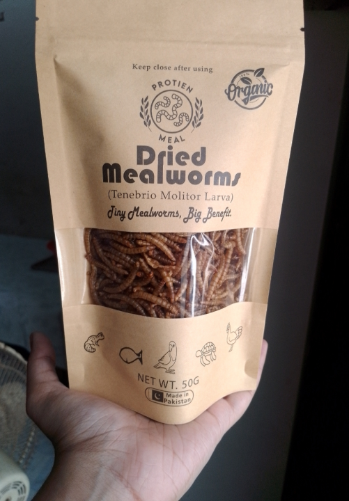 50g%20Dry%20Mealworms%20%7C%20Premium%20Quality%20Organic%20dried%20mealworms%20%7C%20Pet%20food%20%7C%20Rich%20source%20of%20Protein%20for%20Fishes,%20Birds,%20Chickens,%20Reptiles%20like%20Tortoise%20&%20Turtle%20and%20other%20small%20pets%20-%20Image%205