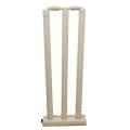 Cricket Plastic Wicket Sets with Bails for Game Cricket Bat and Ball. 