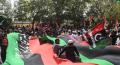 ppp flags\ Pakistan Peoples Party Parliamentarians best quality 4.5x6 fit flag. 