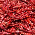 Sabut lal Mirch / Red Chili Whole Long 100G. 
